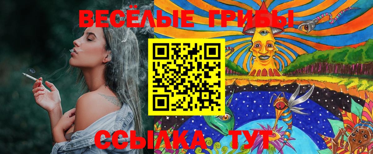 Дедовск  Псилоцибиновые грибы ЛСД  Вход с VPN 